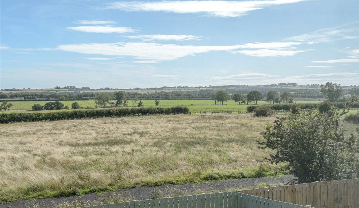 ALN250211_20.jpg