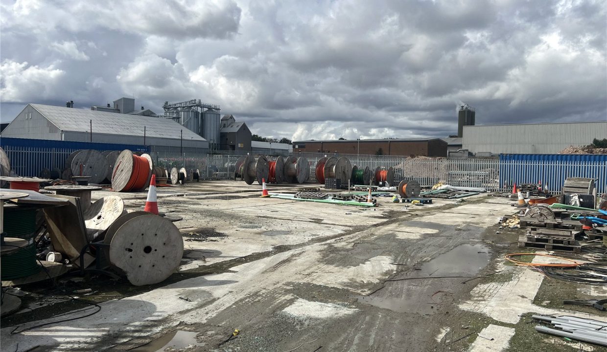 CMR250145_03.jpg