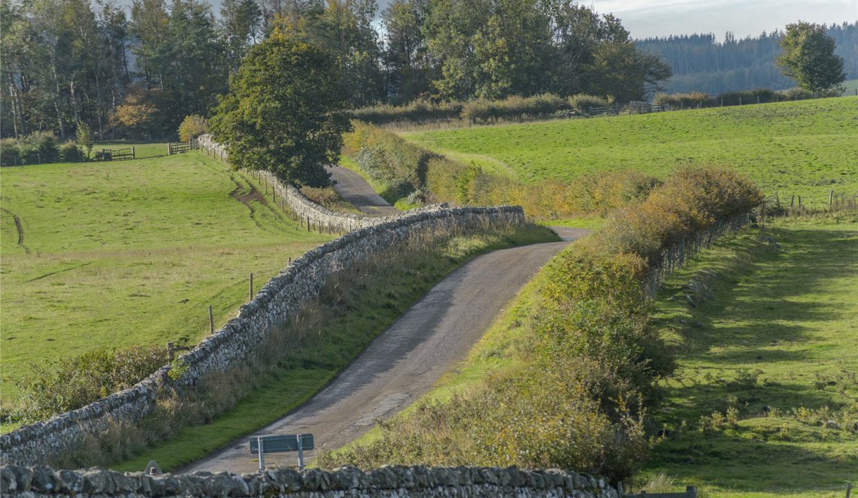 ALN200057_33.jpg