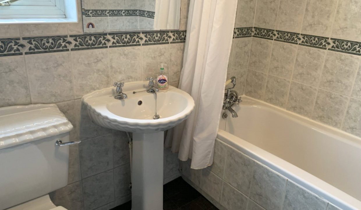 GSF210058_06.jpg