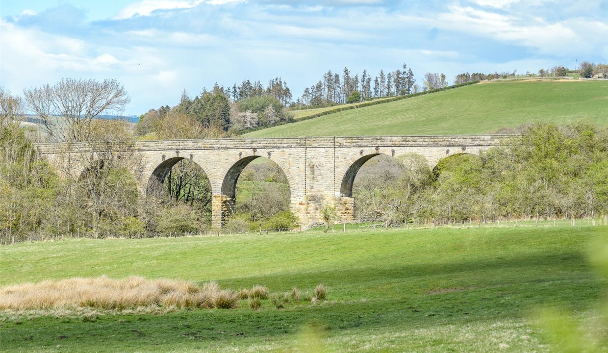 ALN250027_56.jpg