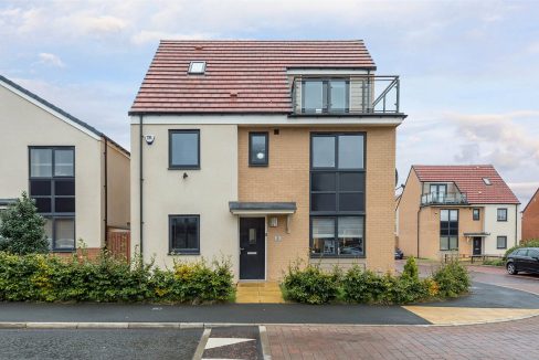 GSF190217_23.jpg