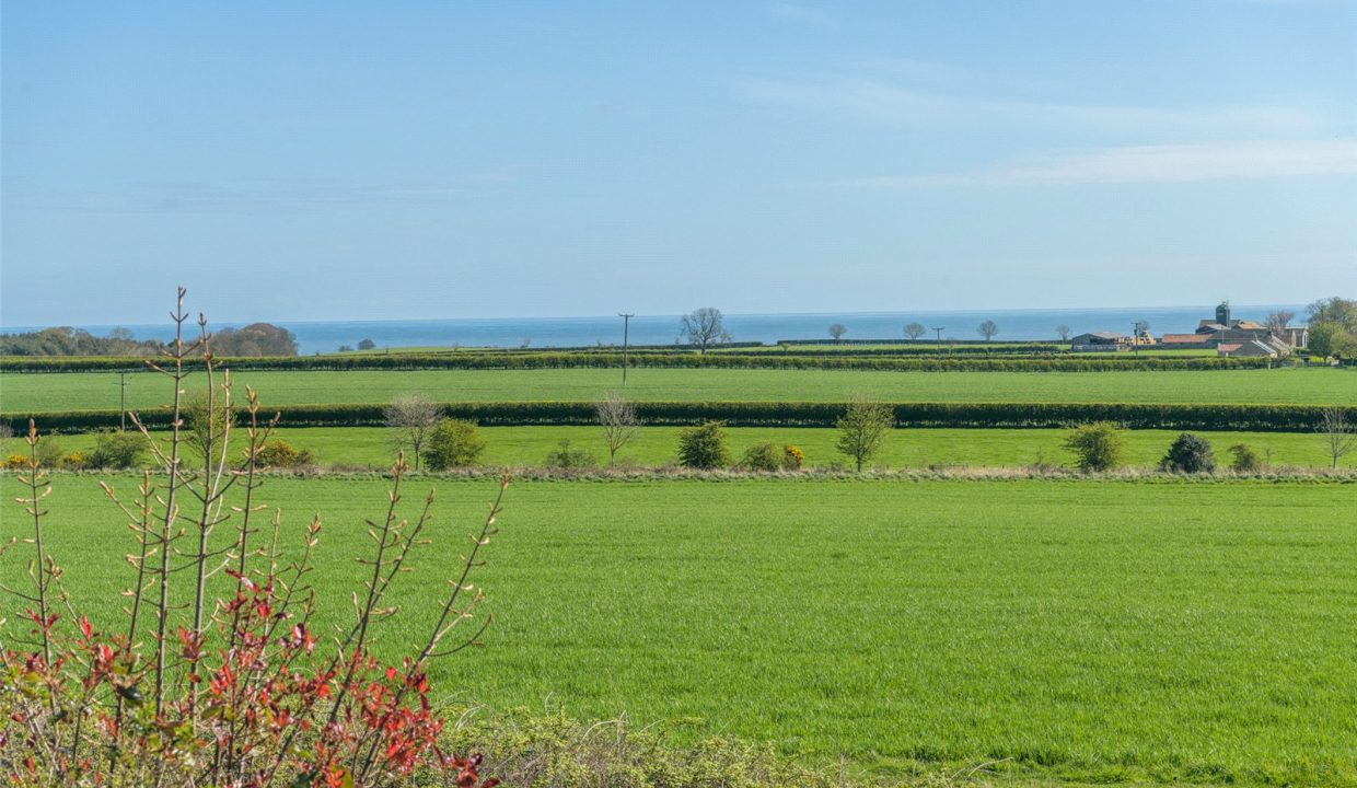 ALN260104_32.jpg