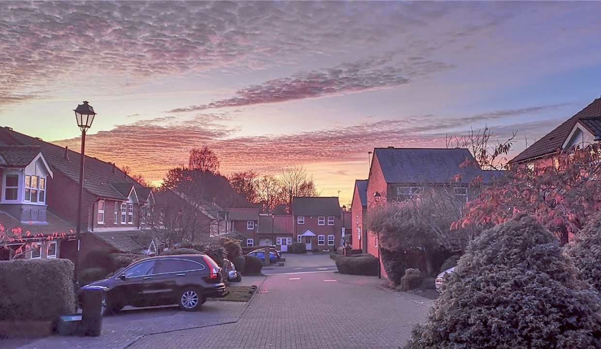 DRH260103_24.jpg