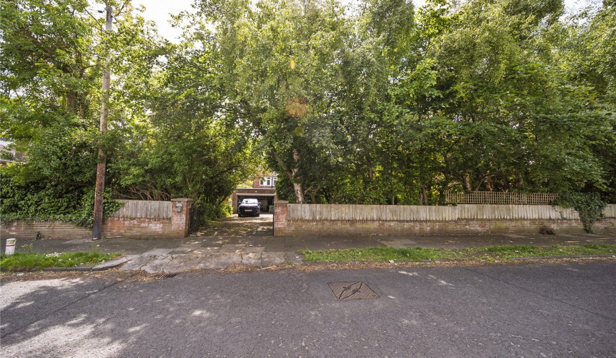 GSF260078_03.jpg