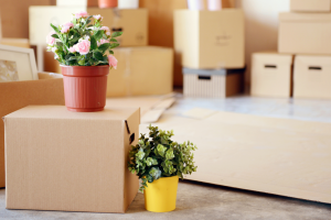 SPRING INTO ACTION: SPRUCING UP YOUR HOME TO HELP YOU SELL