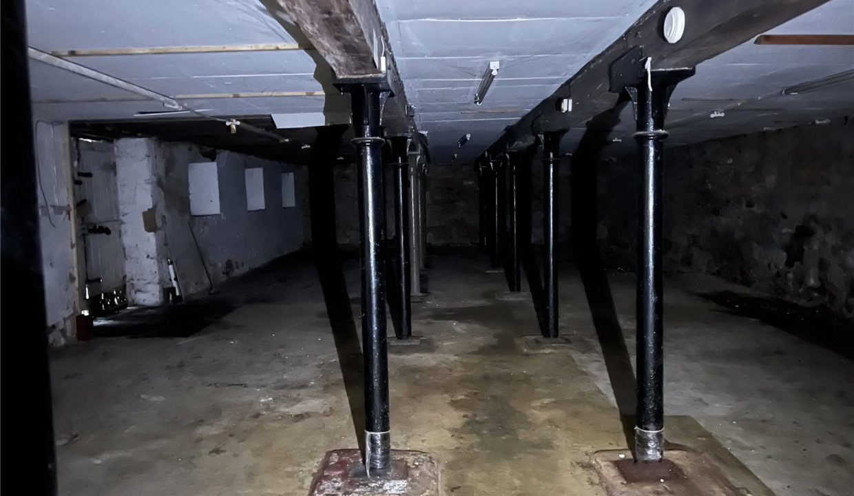 ALN250008_05.jpg