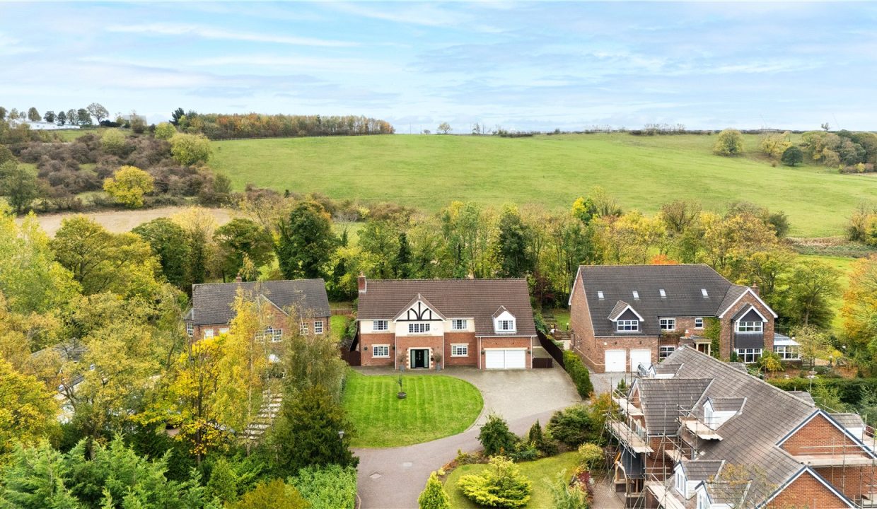 Picture No. 41