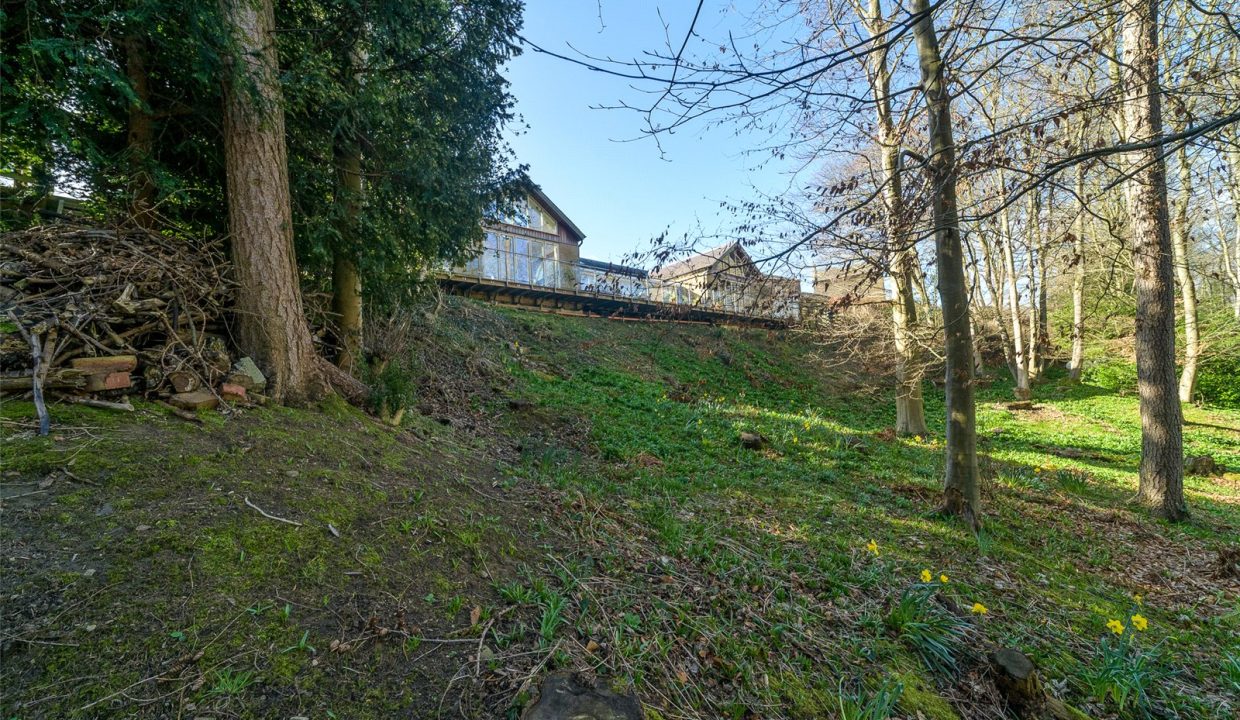 DRH250108_16.jpg