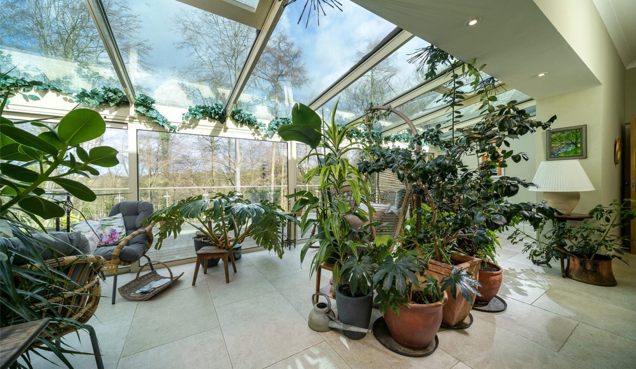 DRH250108_32.jpg