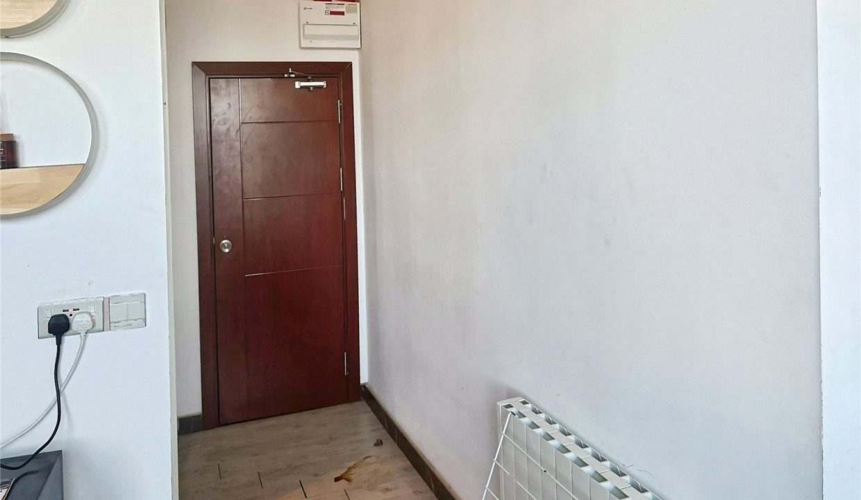 SND260070_12.jpg