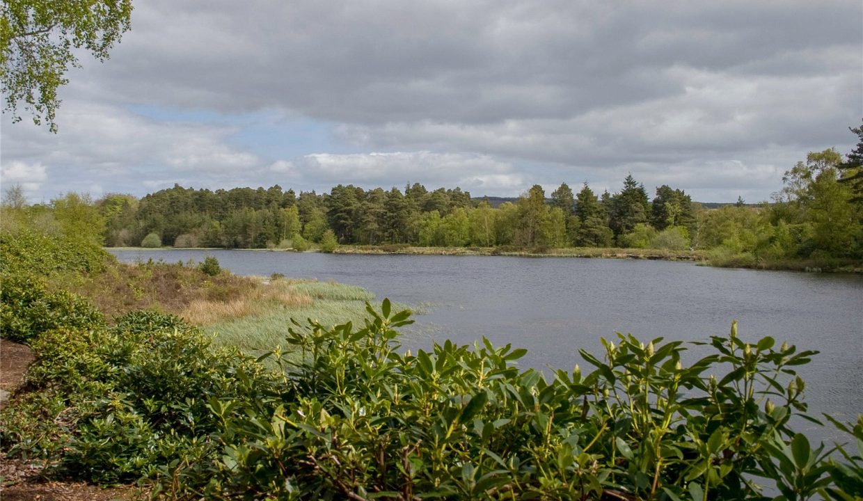 ALN260115_41.jpg