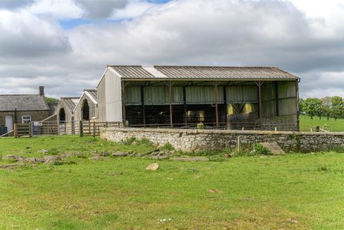 ALN240143_01.jpg
