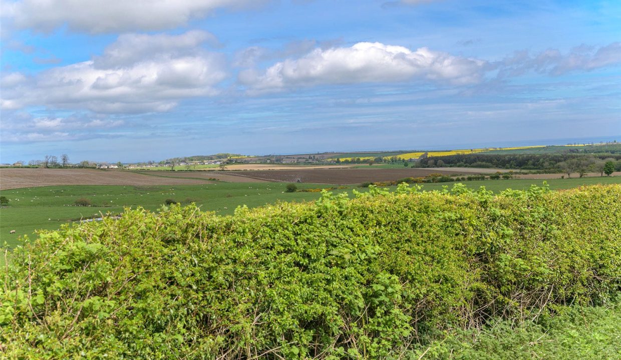 ALN240143_04.jpg
