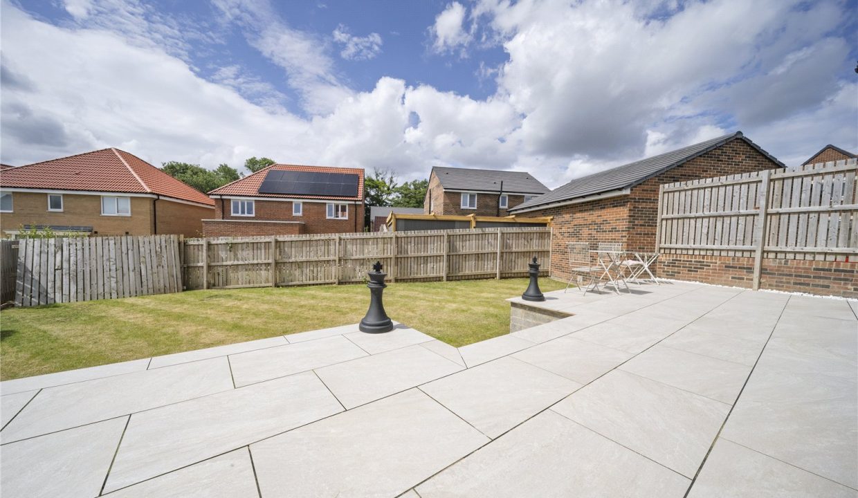 SND260156_08.jpg